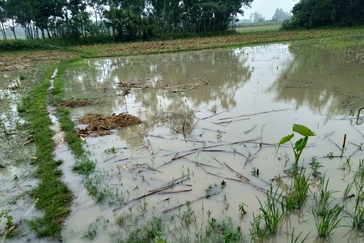 Inundaciones en EE UU en 2025.jpg